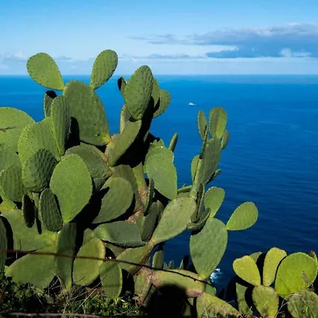 Casas En Ecologica La Espiral, Naturaleza, Calma Y Vistas Al Mar, Σπίτι διακοπών Icod el Alto