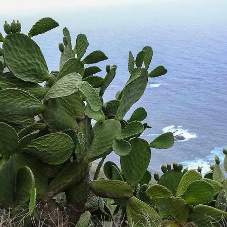 Σπίτι διακοπών Casas En Ecologica La Espiral, Naturaleza, Calma Y Vistas Al Mar,