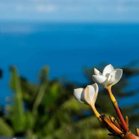 Σπίτι διακοπών Casas En Ecologica La Espiral, Naturaleza, Calma Y Vistas Al Mar, *
